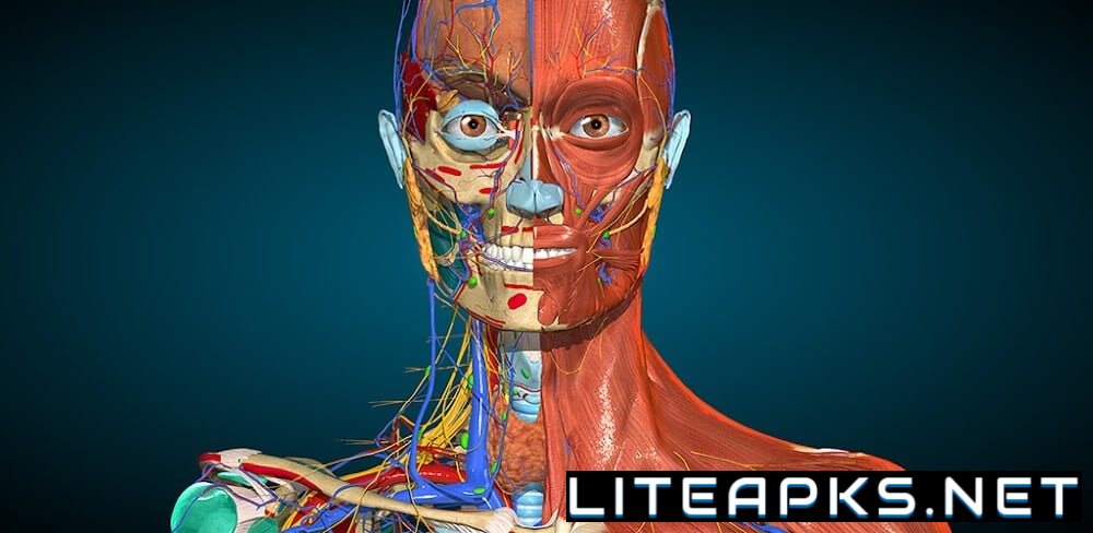 Anatomy Learning - 3D Anatomy