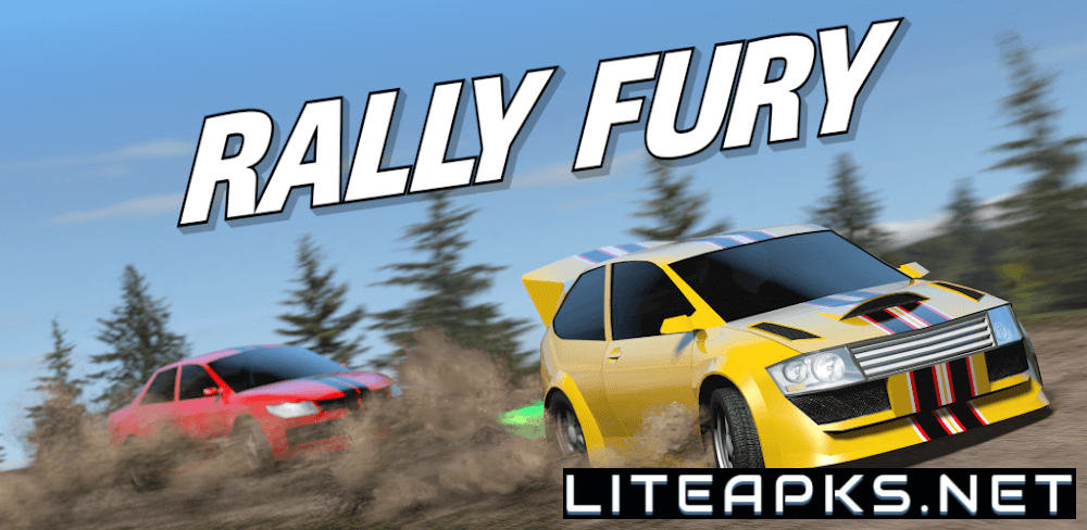 Rally Fury