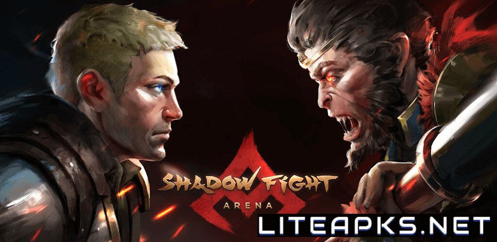 Shadow Fight 4: Arena