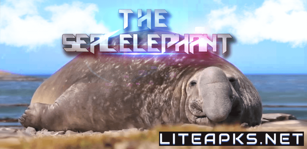 The Seal Elephant