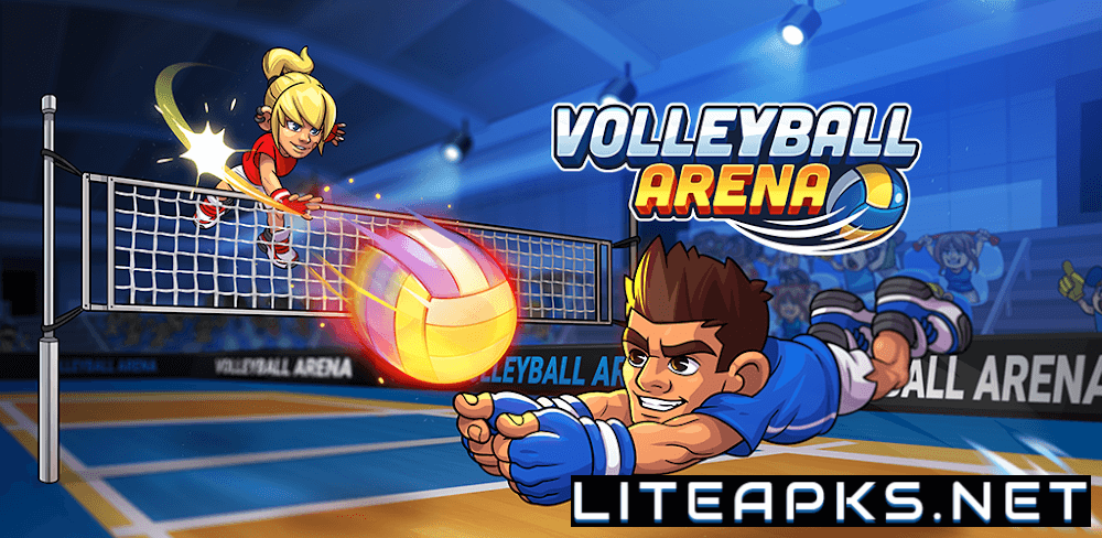 Volleyball Arena