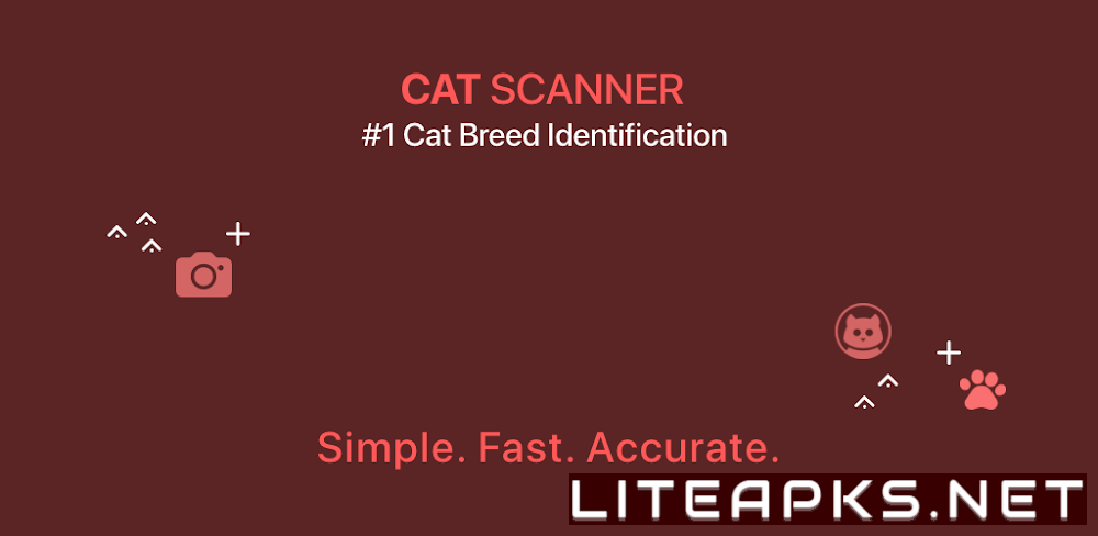 Cat Scanner