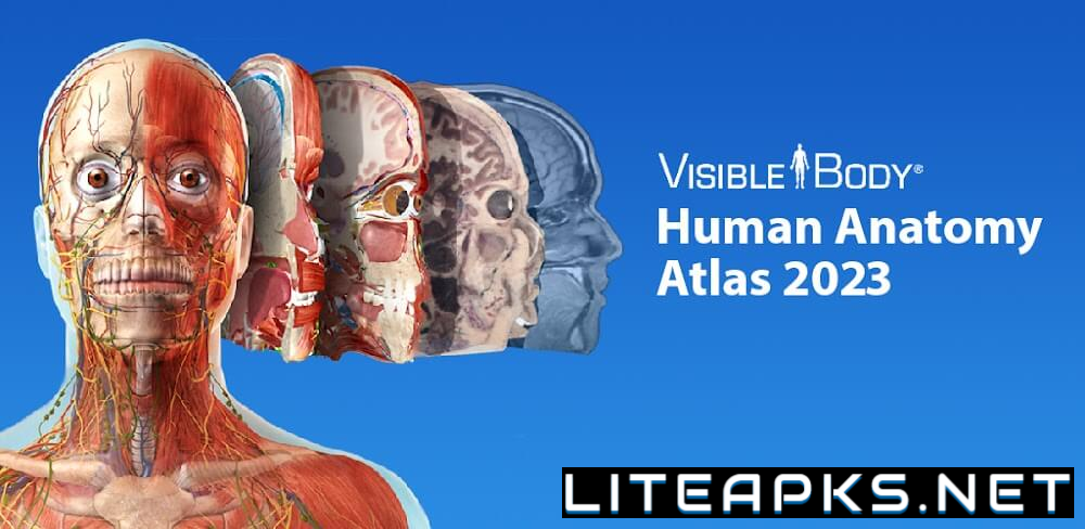 Human Anatomy Atlas 2024