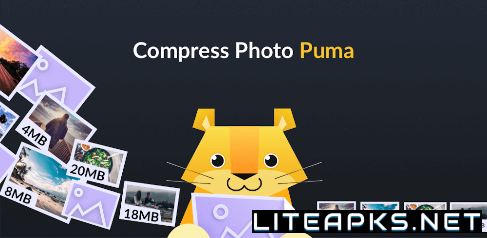 Compress Photo Puma