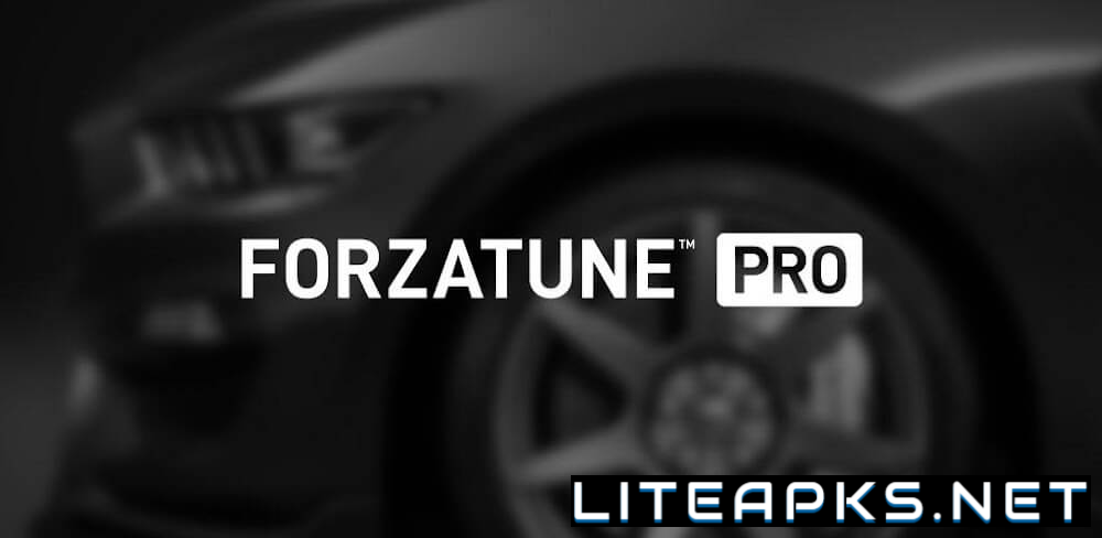 ForzaTune Pro