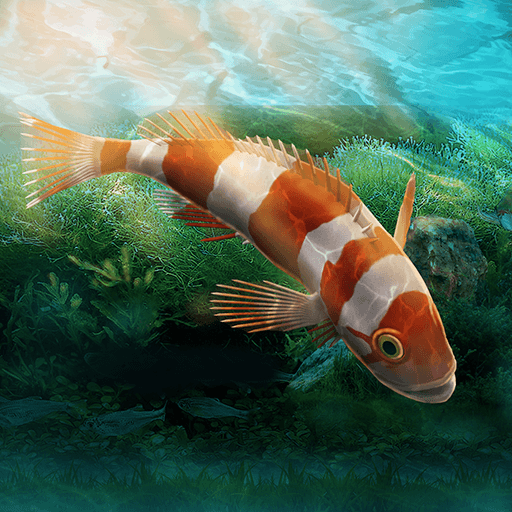 Aquarium Designer v1.0.0 MOD APK (Unlimited Money) Download