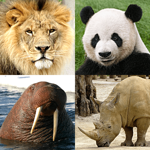 Animals Quiz Learn All Mammals v3.8.0 MOD APK (Unlimited Money) Download