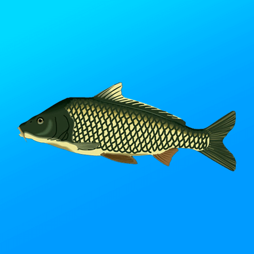 True Fishing v1.16.5.828 MOD APK (Unlimited Money) Download